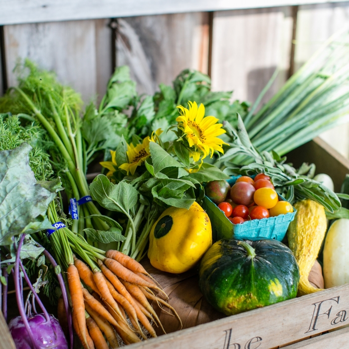 Plot To Plate: Serenbe Farms Tour And Cooking Class