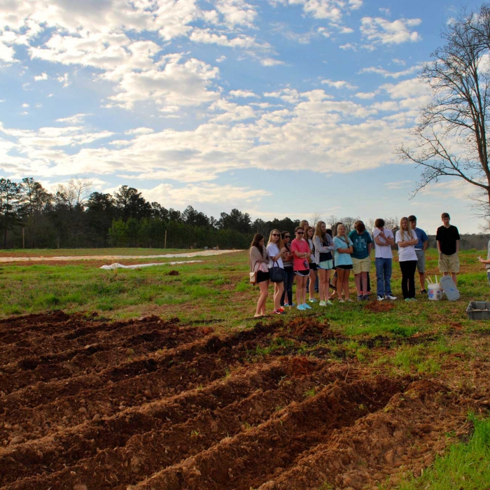 Farm Tours